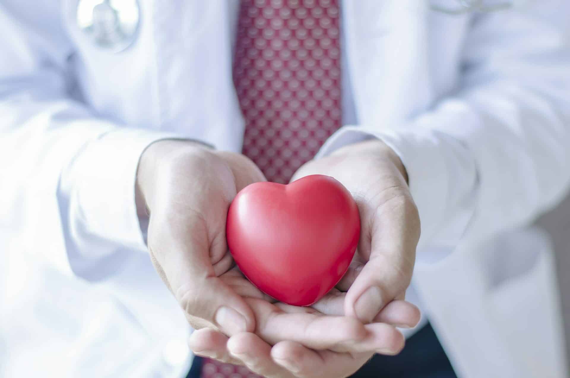 Heart in the hands