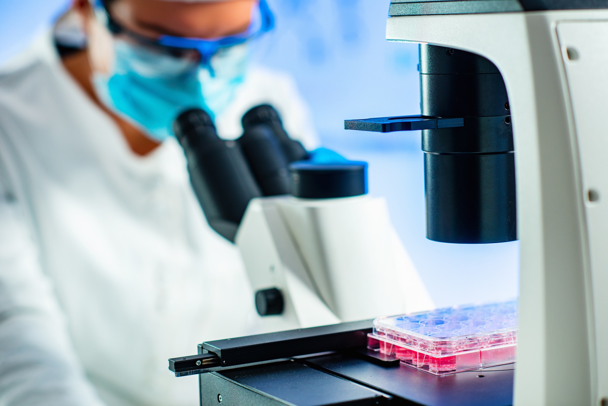 Mesenchymal Stem Cells